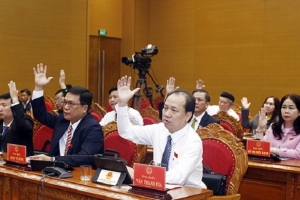 Bình Định bổ sung 3 ủy viên UBND tỉnh