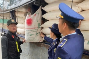 Nghệ An chủ động phòng chống buôn lậu đường, bảo vệ ngành mía đường trong nước
