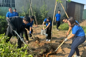Tuổi trẻ EVNHCMC góp sức xây dựng thành phố văn minh