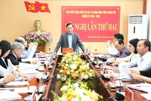 Thanh Hóa: Cho ý kiến về kế hoạch tổ chức Đại hội Đảng bộ, chi bộ cơ sở