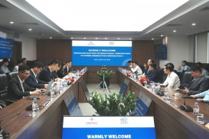 EVNGENCO1 làm việc với đoàn lãnh đạo cấp cao của DEC International