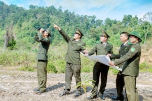 Tăng cường giám sát, xử lý nghiêm vi phạm trong bảo vệ rừng