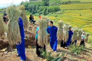 Lạc Sơn: Chuyển mình mạnh mẽ, công nghiệp hóa nông thôn