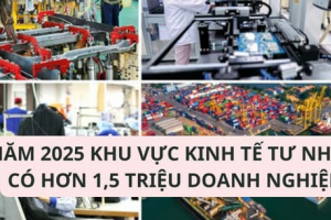 Kinh tế tư nhân: Cần chiến lược vượt trội với các nhóm giải pháp được tinh chỉnh, mang tính đột phá