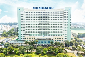 Vi phạm trong lĩnh vực bảo vệ môi trường, Bệnh viện Đồng Nai 2 bị phạt 300 triệu đồng