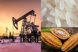 Chỉ số MXV-Index chạm ngưỡng 2.300 điểm - giá dầu có phiên tăng thứ tư - nông sản ngập sắc đỏ