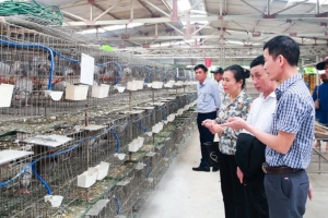 Thanh Hóa: Tập huấn truyền thông về nông nghiệp, nông thôn