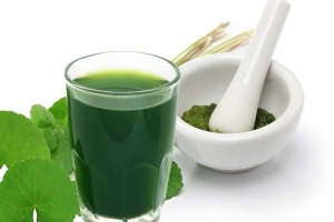 Một loại rau Việt quen thuộc không trồng vẫn mọc đầy vườn, mang lại vô vàn lợi ích cho sức khỏe và sắc đẹp