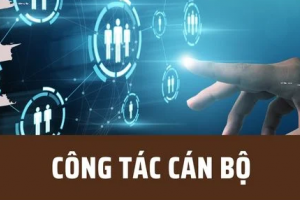 Chủ tịch tỉnh chỉ định chủ tịch xã, phường sau sắp xếp cho đến khi Ủy ban nhân dân khóa mới được bầu ra