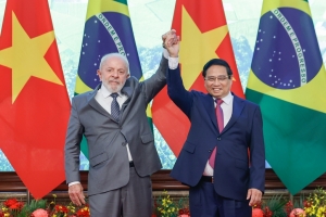 Chính phủ Brazil đã quyết định công nhận quy chế kinh tế thị trường của Việt Nam