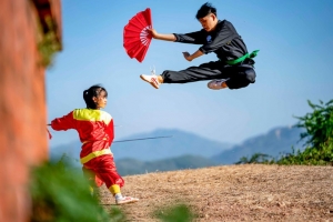 Trình UNESCO đưa “Võ cổ truyền Bình Định” vào danh sách Di sản văn hoá phi vật thể của nhân loại