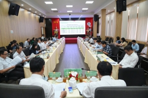Năm 2025 các công ty của VRG sẽ thu mua trên 100.000 tấn cao su