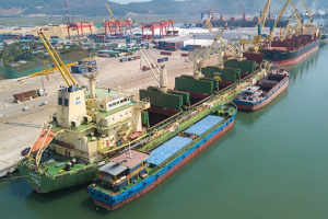 Thanh Hóa hiện có hơn 300 doanh nghiệp trong lĩnh vực xuất khẩu