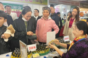 Quảng Bình: Tổng mức bán lẻ và dịch vụ thương mại quý I/2025 ước đạt 16.298 tỷ đồng