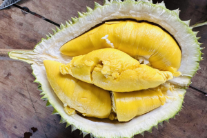 Giá sầu riêng hôm nay 30/3: Sầu Thái A có giá từ 120.000 – 125.000 đồng/kg