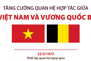 Bắc nhịp cầu hợp tác, hữu nghị Việt Nam-Bỉ