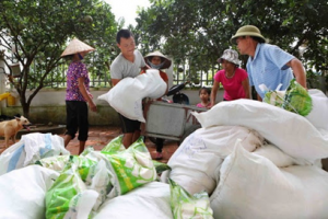 Xuất cấp gạo cho 3 tỉnh dịp giáp hạt đầu năm 2025
