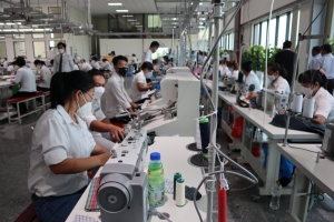 Long An bắt đầu tiến hành điều tra doanh nghiệp từ 01/4/2025