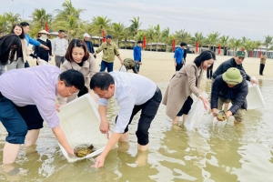 Thành phố Hạ Long thả 200.000 cá giống tái tạo nguồn lợi thủy sản