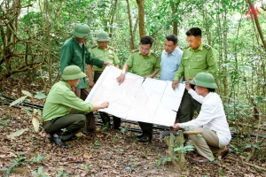 Vĩnh Phúc đẩy mạnh hoạt động phòng ngừa và ứng phó cháy rừng