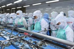 Sao Ta (FMC) hoàn thành 28% mục tiêu doanh thu năm 2025