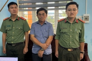 Quảng Bình: Khởi tố 22 bị can liên quan đến sai phạm trong đấu thầu dự án cây xanh