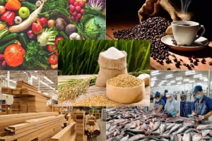 Tin vui: Xuất khẩu nông, lâm, thủy sản đạt 15,72 tỷ USD, tăng 13,1%