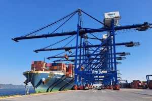 Phần lớn mặt hàng của Mỹ xuất khẩu sang Việt Nam chỉ chịu mức thuế suất dưới 15%