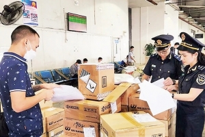Lực lượng hải quan phát hiện, xử lý nhiều vụ vi phạm trong quý I/2025