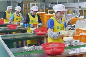 Cơ hội việc làm cho lao động Nam Định tại Hàn Quốc