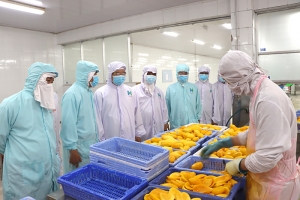 Đồng Tháp phát triển công nghiệp chế biến chuyên sâu kết hợp ngành công nghiệp chủ lực