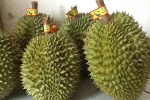 Giá sầu riêng hôm nay 7/4: Thị trường giảm