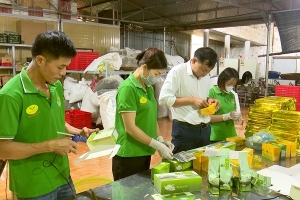 Thái Nguyên: Mã số vùng trồng, chìa khóa nâng tầm nông sản, mở rộng thị trường