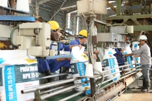 Phân bón Bình Điền ghi nhận lợi nhuận quý I/2025 vượt 44% kế hoạch năm