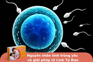 Tinh trùng yếu: Nguyên nhân và giải pháp cải thiện từ Linh Tự Đan