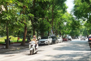 Thời tiết ngày 9/4: Bắc Bộ, Bắc Trung Bộ sáng sớm sương mù, trưa chiều hửng nắng