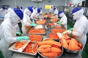 Liên minh Châu Âu - Thị trường rộng mở với thực phẩm chất lượng