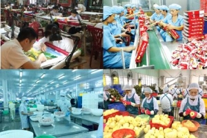 Giám đốc ADB Việt Nam Shantanu Chakraborty: Dự kiến khu vực tư nhân đóng góp khoảng 70% GDP của Việt Nam