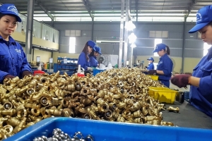 Tăng cường quản lý nguyên liệu đầu vào cho sản xuất hàng hóa xuất khẩu, ngăn chặn gian lận xuất xứ