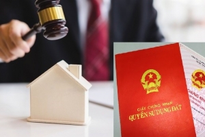 Long An ban hành Kế hoạch thực hiện đấu giá các thửa đất do Nhà nước quản lý