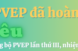Đảng bộ PVEP hoàn thành 11/11 chỉ tiêu Nghị quyết Đại hội Đảng bộ PVEP lần thứ III