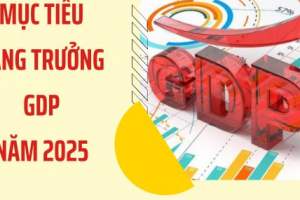 Nghị quyết về việc thúc đẩy, ưu tiên, kiên định mục tiêu tăng trưởng GDP năm 2025 từ 8% trở lên