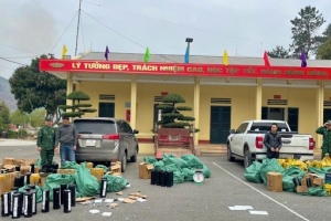 Triệt phá vụ vận chuyển lậu hơn 350 bình khí cười ở Quảng Ninh