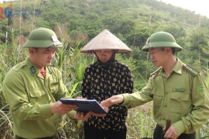 Quảng Ninh tăng cường các biện pháp phòng chống cháy rừng