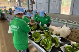 Hoàng Anh Gia Lai (HAG) công bố lợi nhuận ròng gần 341 tỷ đồng trong quý I