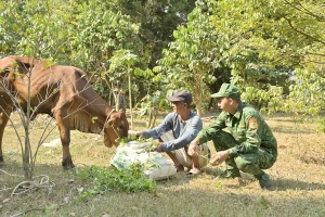 Bộ đội Biên phòng tỉnh Kiên Giang: Chung sức xây dựng nông thôn mới, vì người nghèo