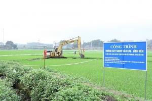 Lào Cai: Khẩn trương hoàn thành GPMB hành lang tuyến Dự án đường dây 500KV Lào Cai - Vĩnh Yên xong trước ngày 20/4/2025