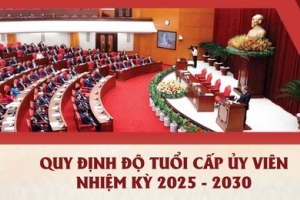 Quy định độ tuổi tham gia cấp ủy tại Đại hội đảng các cấp nhiệm kỳ 2025-2030
