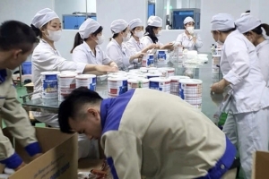 Bộ Công an công bố 12 loại sữa bột giả và đang xác minh 72 loại khác