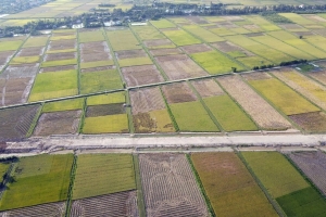 Hải Dương giao đất thực hiện dự án Khu đô thị mới Thanh Miện